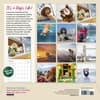 image Dogs on Vacation 2025 Wall Calendar First Alternate Image