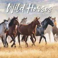 image Wild Horses 2026 Wall Calendar  Main Image