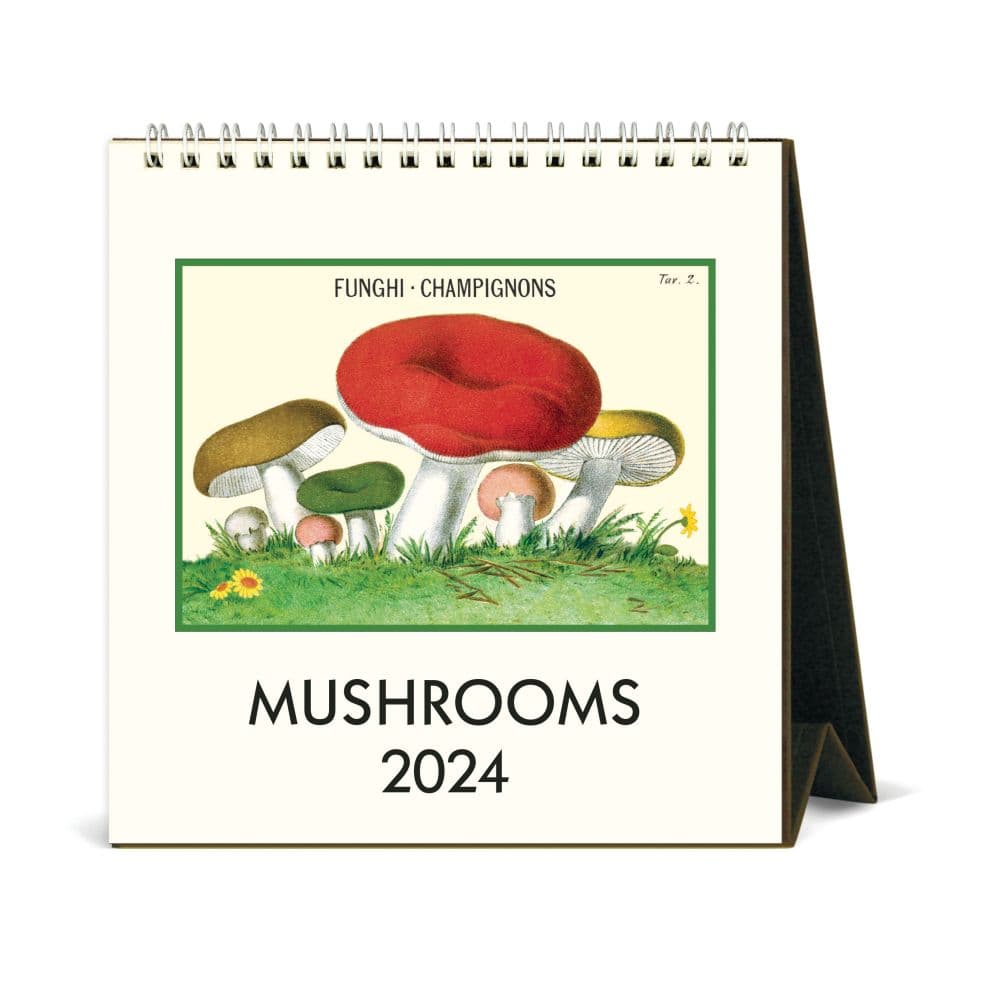 Mushrooms 2024 Easel Desk Calendar