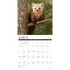 image Northwoods Wildlife 2025 Wall Calendar Second Alternate Image width=&quot;1000&quot; height=&quot;1000&quot;