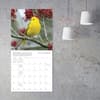 image Songbirds 2026 Wall Calendar Fourth Alternate Image