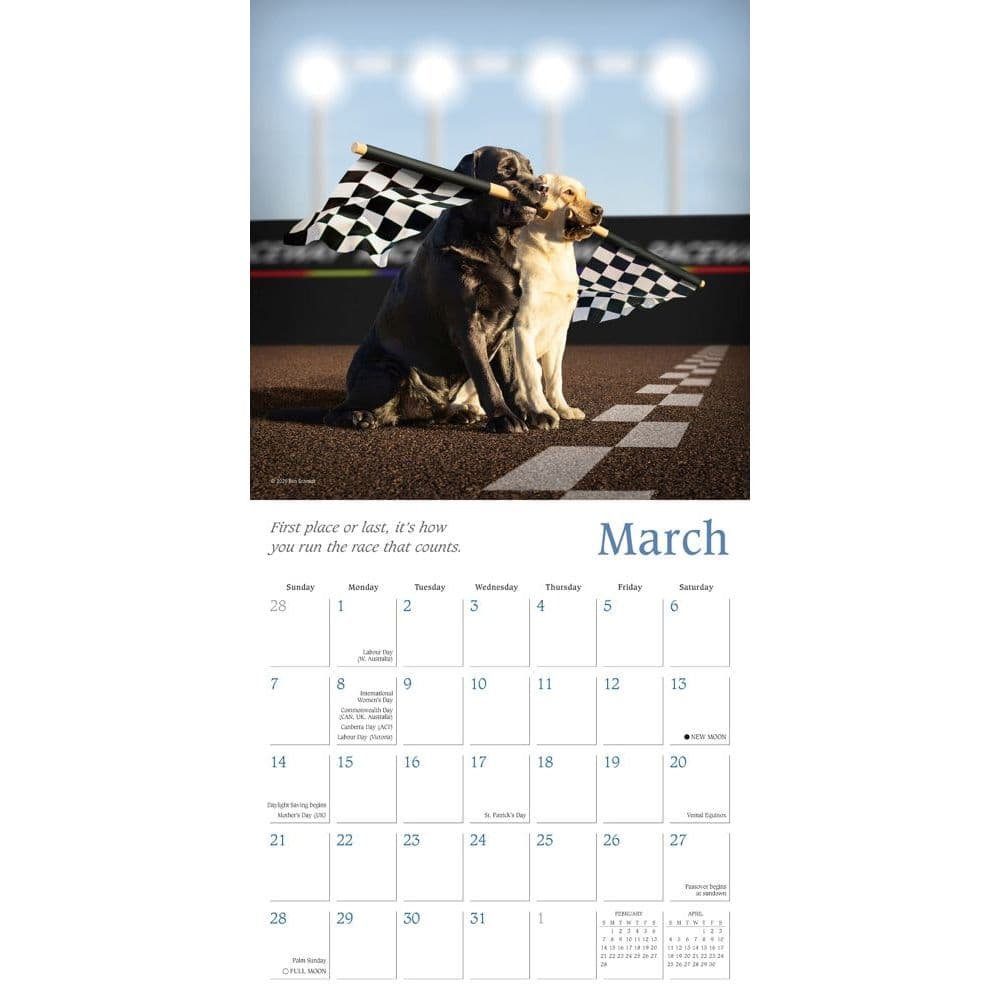 Dogma Wall Calendar