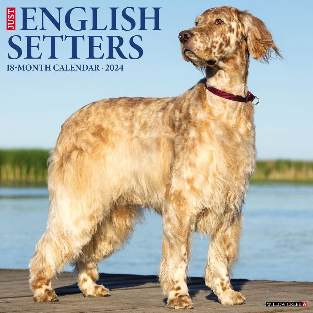 English Setters 2024 Wall Calendar