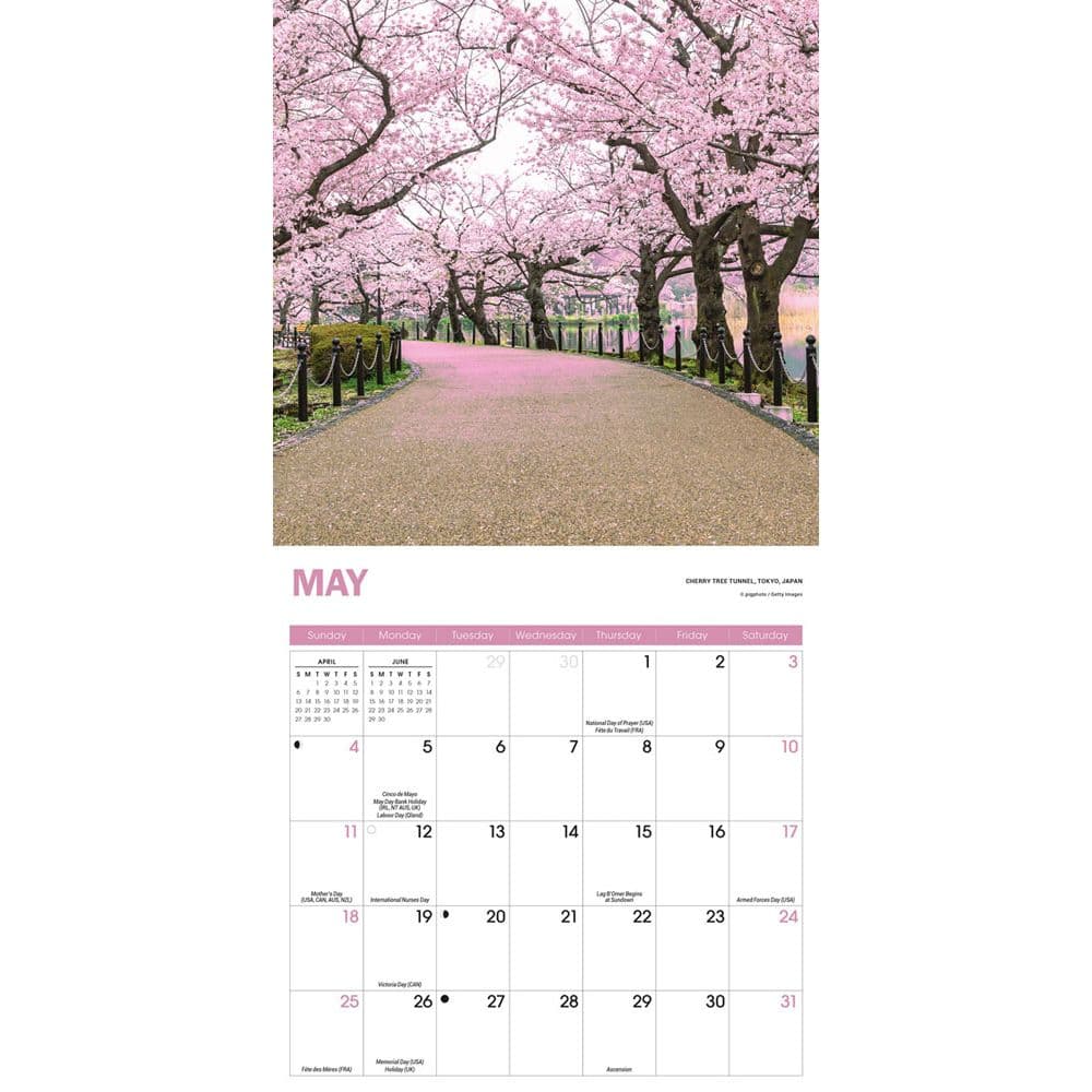 Pathways 2025 Mini Wall Calendar - Calendars.com