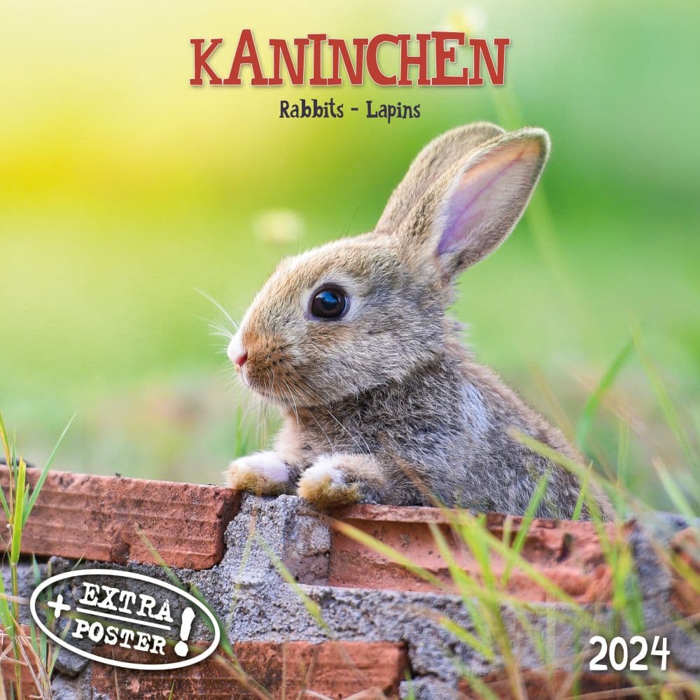 Rabbits 2024 Wall Calendar Calendars Com   Ab62f03a 8b6e 47bd 97f5 D8b05fd84cbc