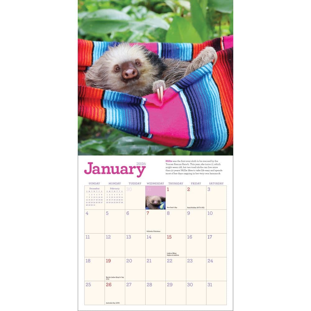 Sloths 2026 Mini Wall Calendar Second Alternate Image