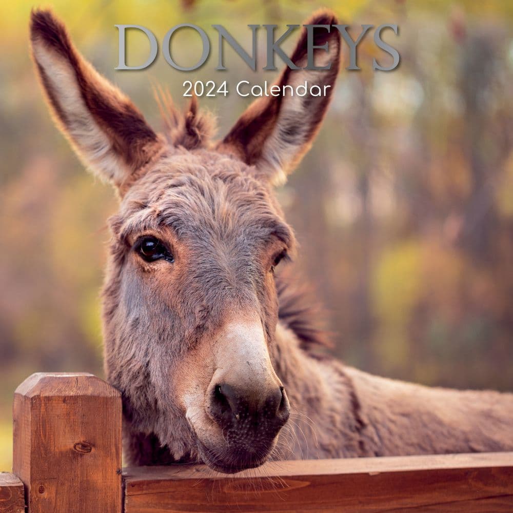 Donkeys 2024 Wall Calendar - Calendars.com