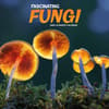image Fascinating Fungi 2026 Wall Calendar Main Product Image