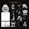 image Dog Portraits 2026 Wall Calendar First Alternate Image