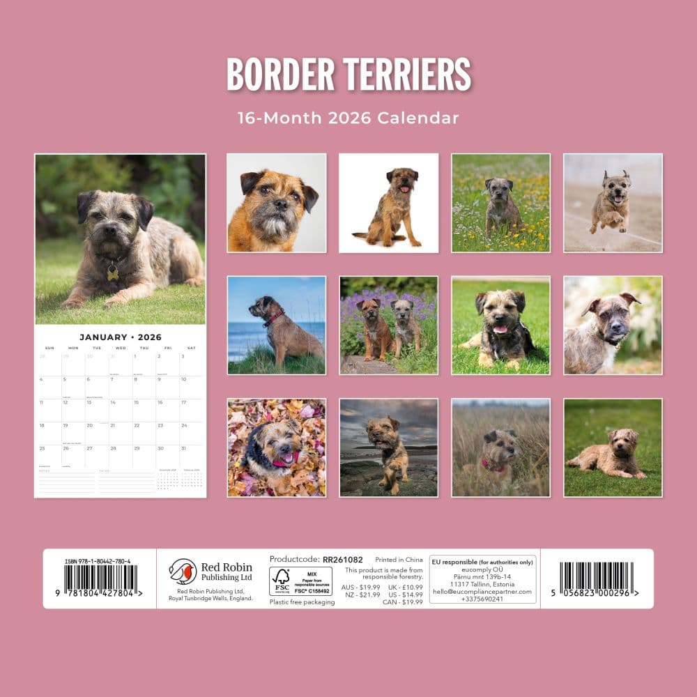Border Terriers 2026 Wall Calendar First Alternate Image