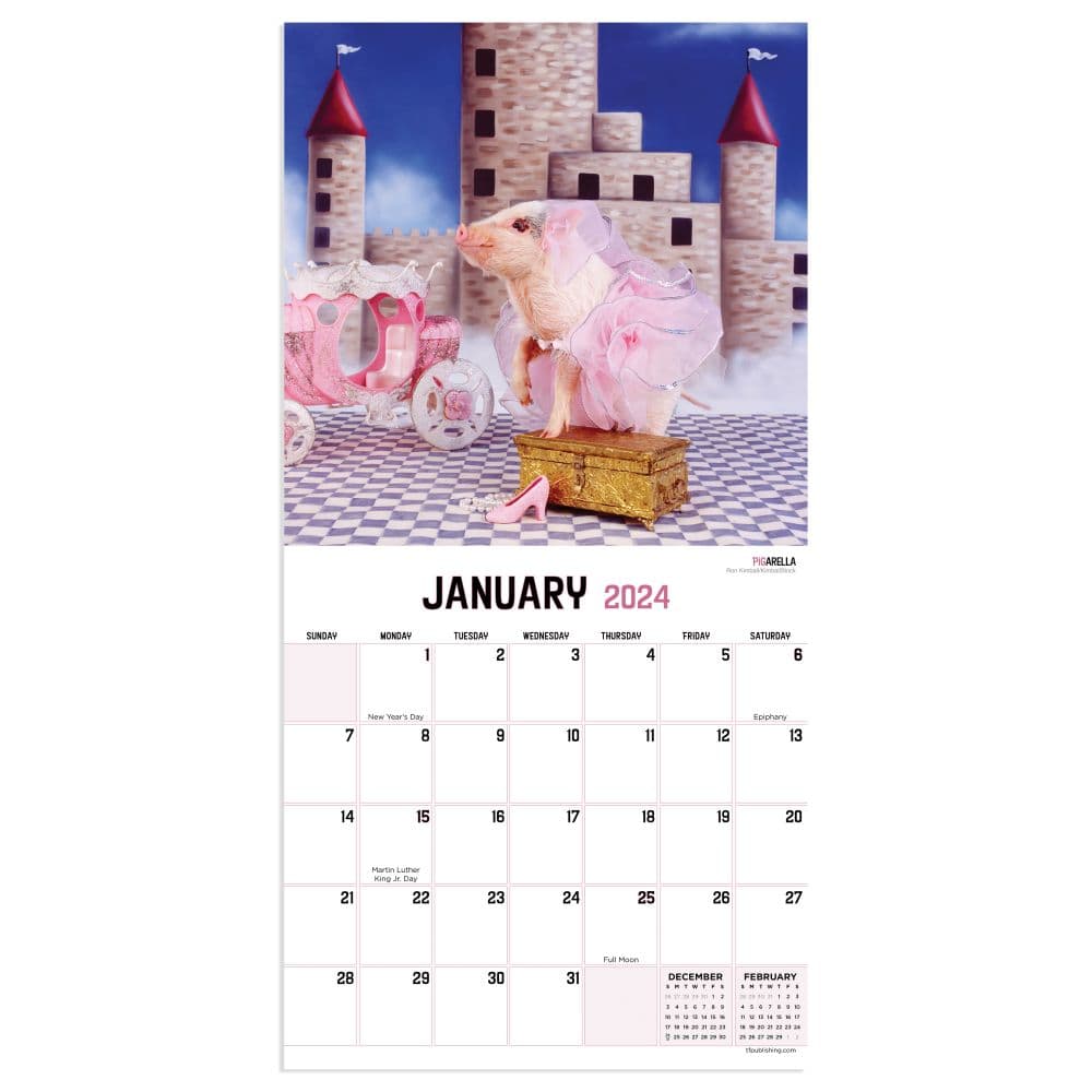 Playful Pigs 2024 Mini Wall Calendar