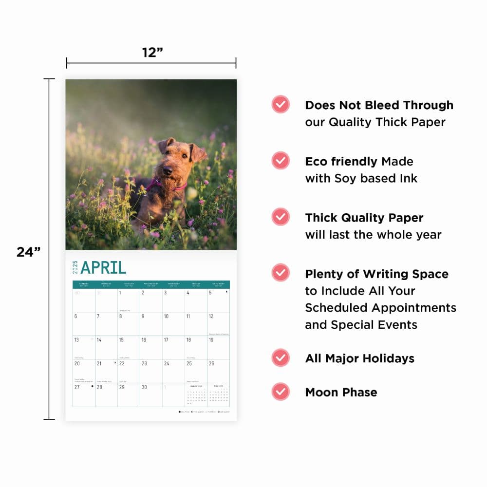 Airedale Terriers 2025 Wall Calendar