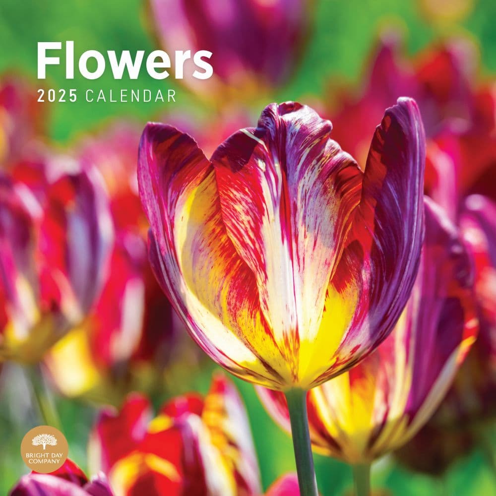 Flowers 2025 Wall Calendar  Main Image