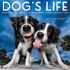 image Dogs Life 2025 Wall Calendar