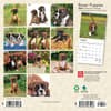 image Boxer Puppies 2024 Mini Wall Calendar First Alternate Image width=&quot;1000&quot; height=&quot;1000&quot;