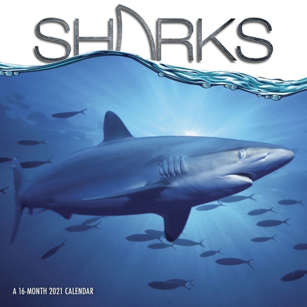 Sharks Wall Calendar - Calendars.com