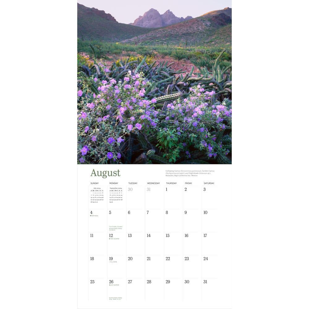 Audubon Desert Wildflowers 2024 Wall Calendar Second Alternate Image width=&quot;1000&quot; height=&quot;1000&quot;