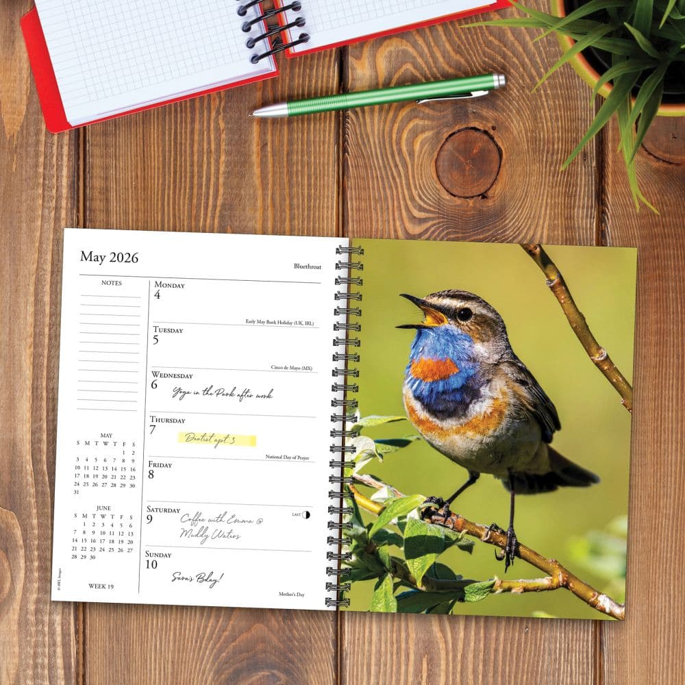 Backyard Birds 2026 Engagement Planner Second Alternate Image