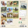 image Horses 2025 Mini Wall Calendar First Alternate Image