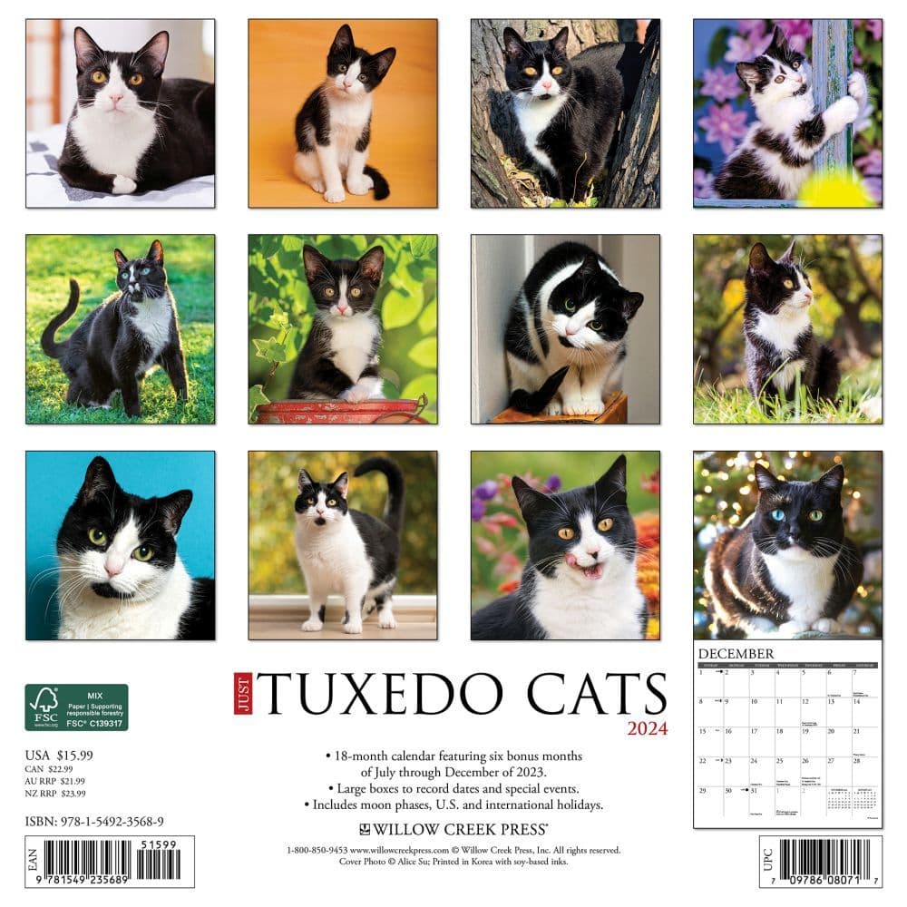 Cats Tuxedo 2024 Wall Calendar 0919