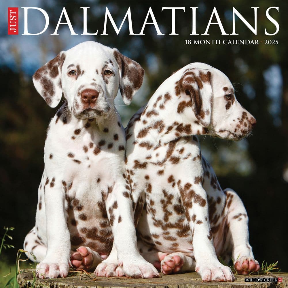 Just Dalmatians 2025 Wall Calendar Main Product Image width=&quot;1000&quot; height=&quot;1000&quot;