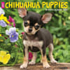 image Just Chihuahua Puppies 2025 Wall Calendar Main Product Image width=&quot;1000&quot; height=&quot;1000&quot;