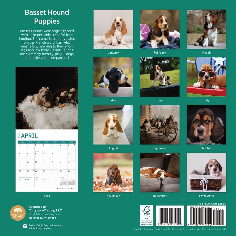 Basset Hound Puppies 2025 Wall Calendar First Alternate Image width="1000" height="1000"