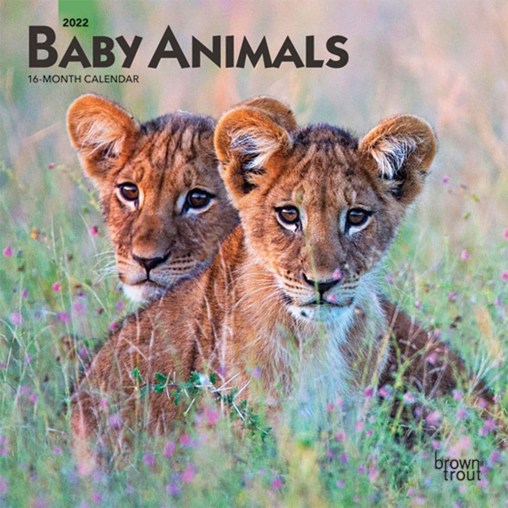 Baby Animals 2022 Mini Wall Calendar - Calendars.com