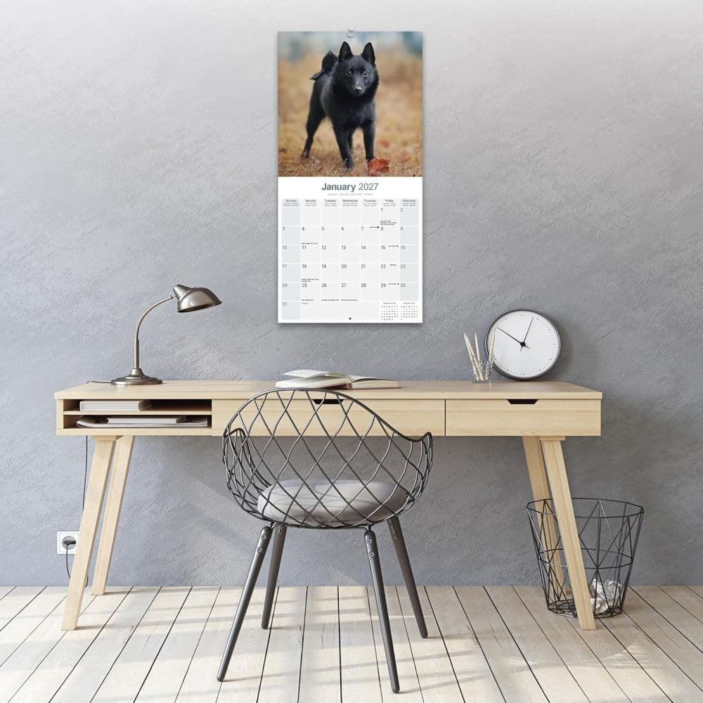 Schipperke 2027 Wall Calendar Third Alternate Image