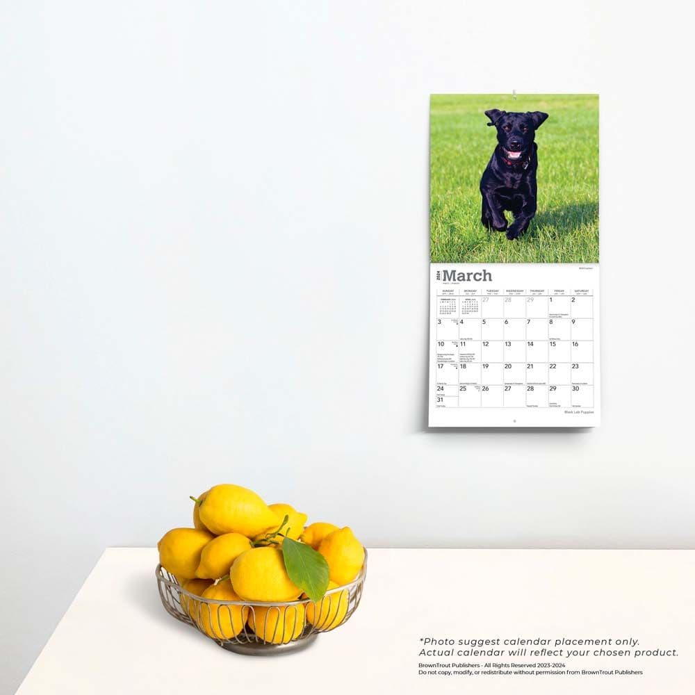 Lab Black Puppies 2024 Mini Wall Calendar Third Alternate Image width=&quot;1000&quot; height=&quot;1000&quot;