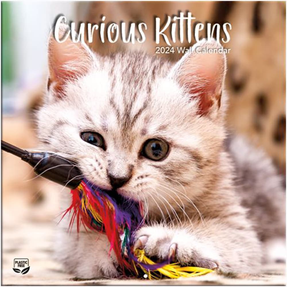 Kittens Curious Photo 2024 Mini Wall Calendar Main Product Image width=&quot;1000&quot; height=&quot;1000&quot;