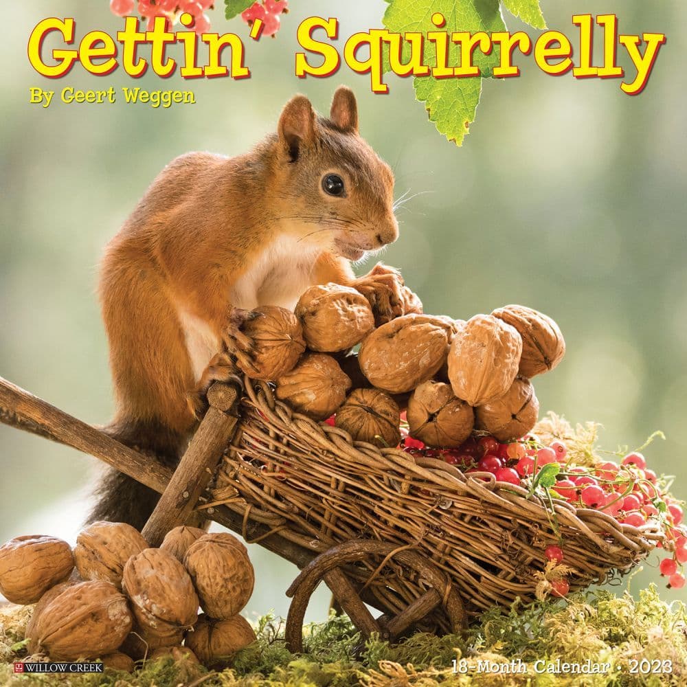 2023 Squirrel Calendar Getting Squirrelly 2023 Wall Calendar - Calendars.com