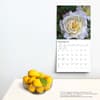 image Roses 2024 Wall Calendar Third Alternate Image width=&quot;1000&quot; height=&quot;1000&quot;