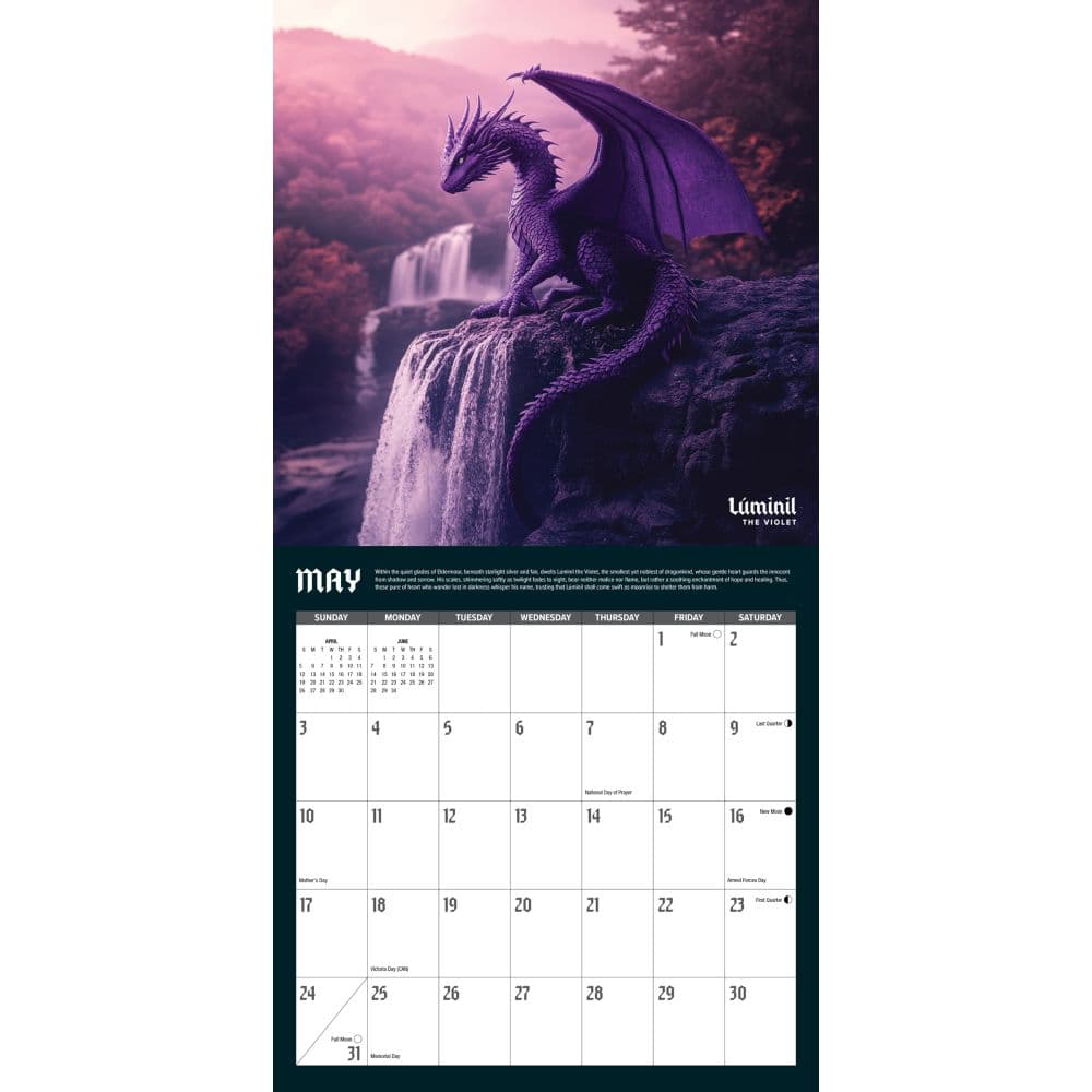 Dragons 2026 Wall Calendar Second Alternate Image