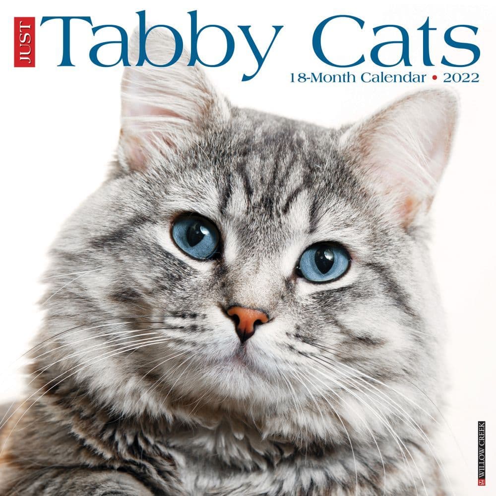 Tabby Cats 2022 Wall Calendar