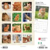 image Ginger Cats 2024 Wall Calendar First Alternate Image width=&quot;1000&quot; height=&quot;1000&quot;
