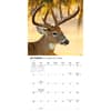 image Monster Bucks 2026 Wall Calendar Fourth Alternate Image