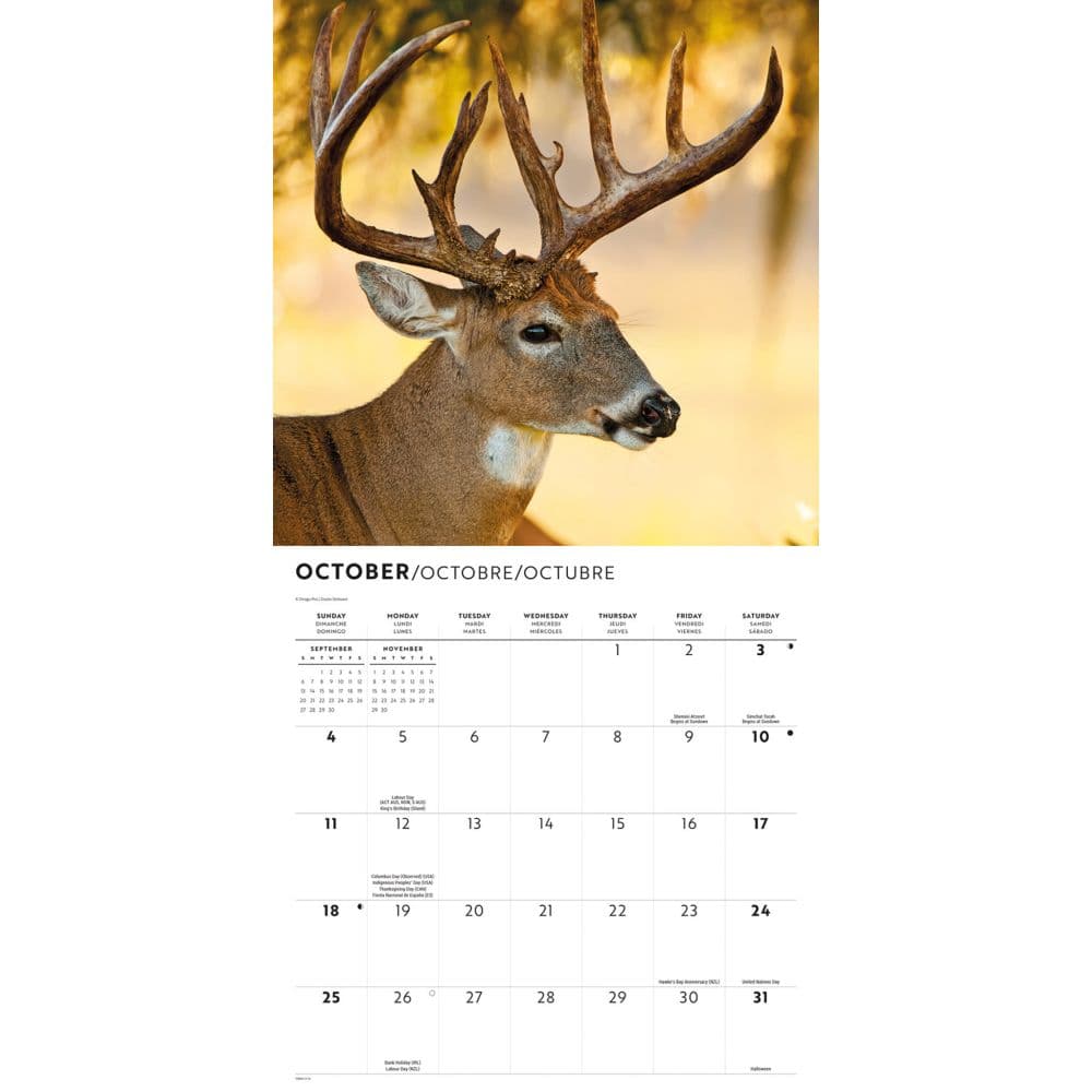 Monster Bucks 2026 Wall Calendar Fourth Alternate Image