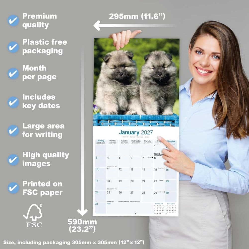 Keeshond 2027 Wall Calendar Fifth Alternate Image
