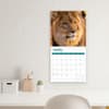 image Lions 2025 Wall Calendar Third Alternate Image width="1000" height="1000"