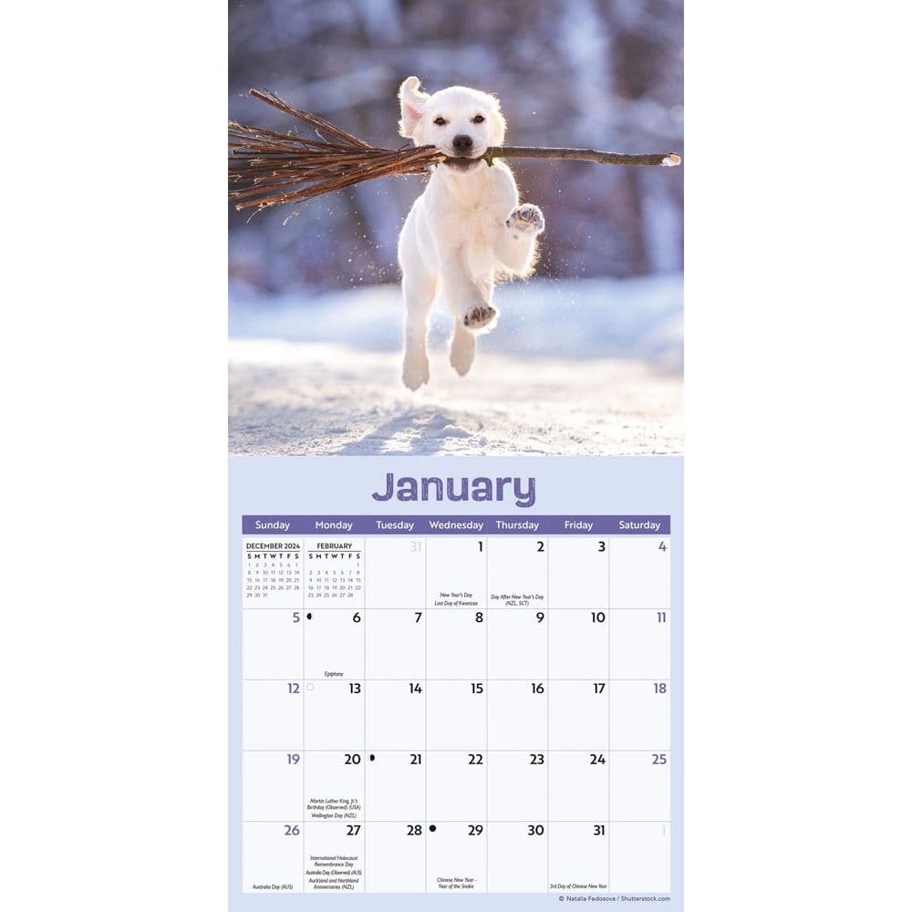 Playful Puppies 2025 Mini Wall Calendar Second Alternate Image width="1000" height="1000"