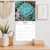 image Succulents Photo 2025 Wall Calendar Fourth Alternate Image