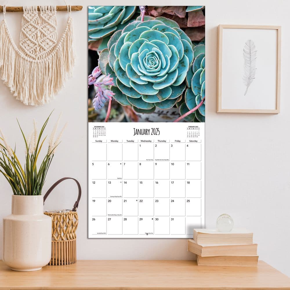 Succulents Photo 2025 Wall Calendar Fourth Alternate Image