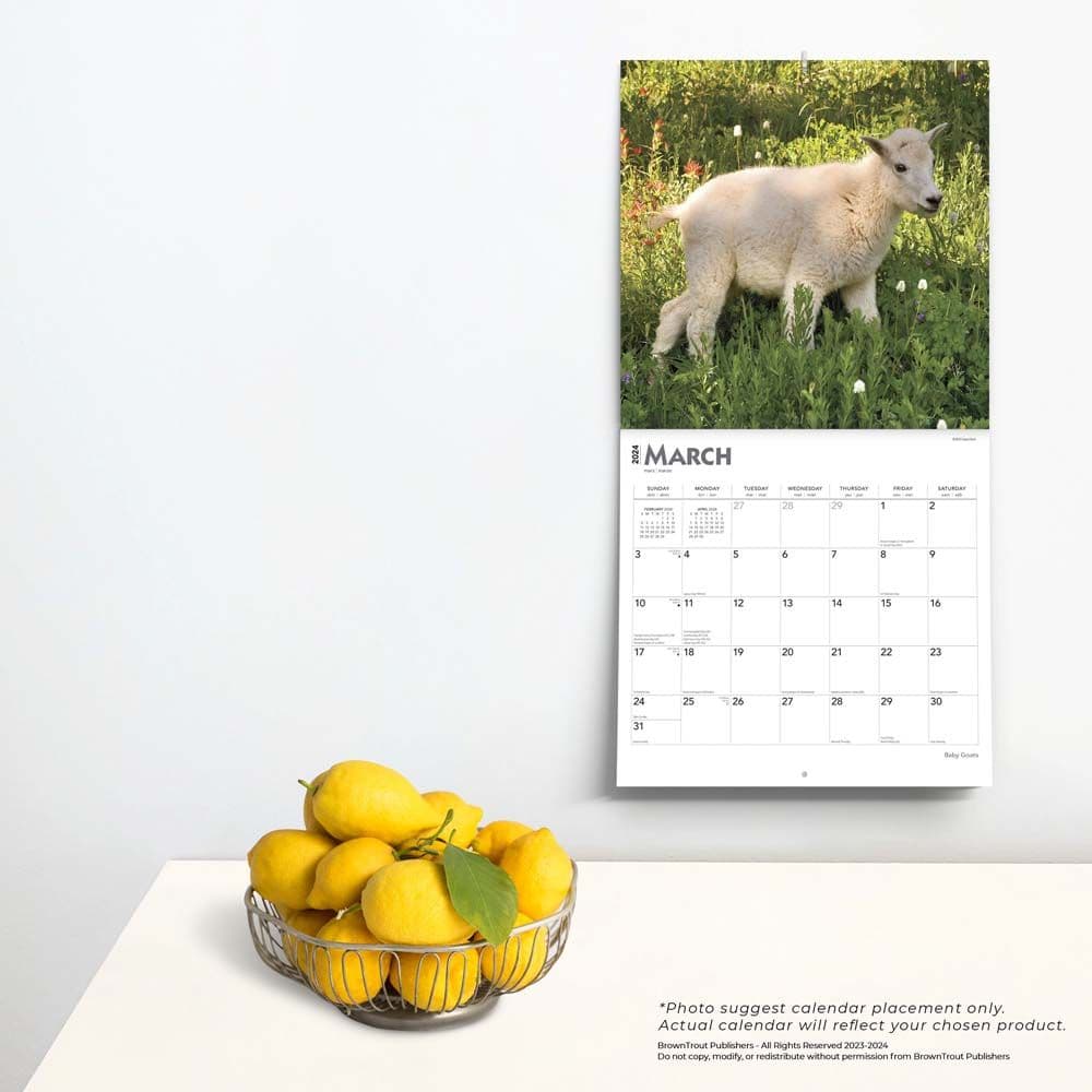 Baby Goats 2024 Wall Calendar - Calendars.com