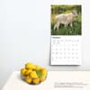 image Baby Goats 2024 Wall Calendar Third Alternate Image width=&quot;1000&quot; height=&quot;1000&quot;