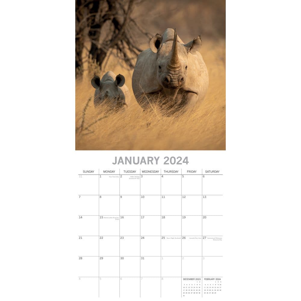 Safari 2024 Wall Calendar Second Alternate Image width=&quot;1000&quot; height=&quot;1000&quot;