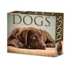 image Dogs 2026 Desk Calendar Main Image