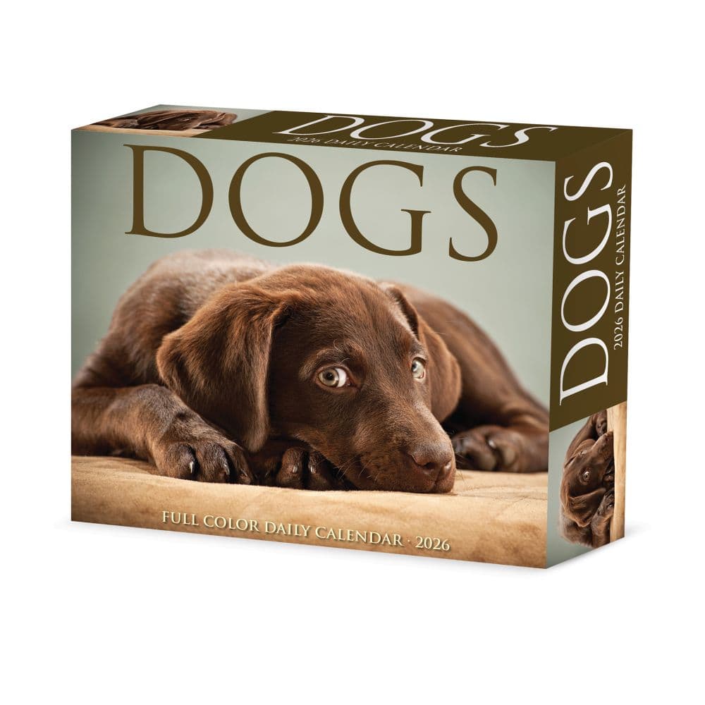 Dogs 2026 Desk Calendar Main Image