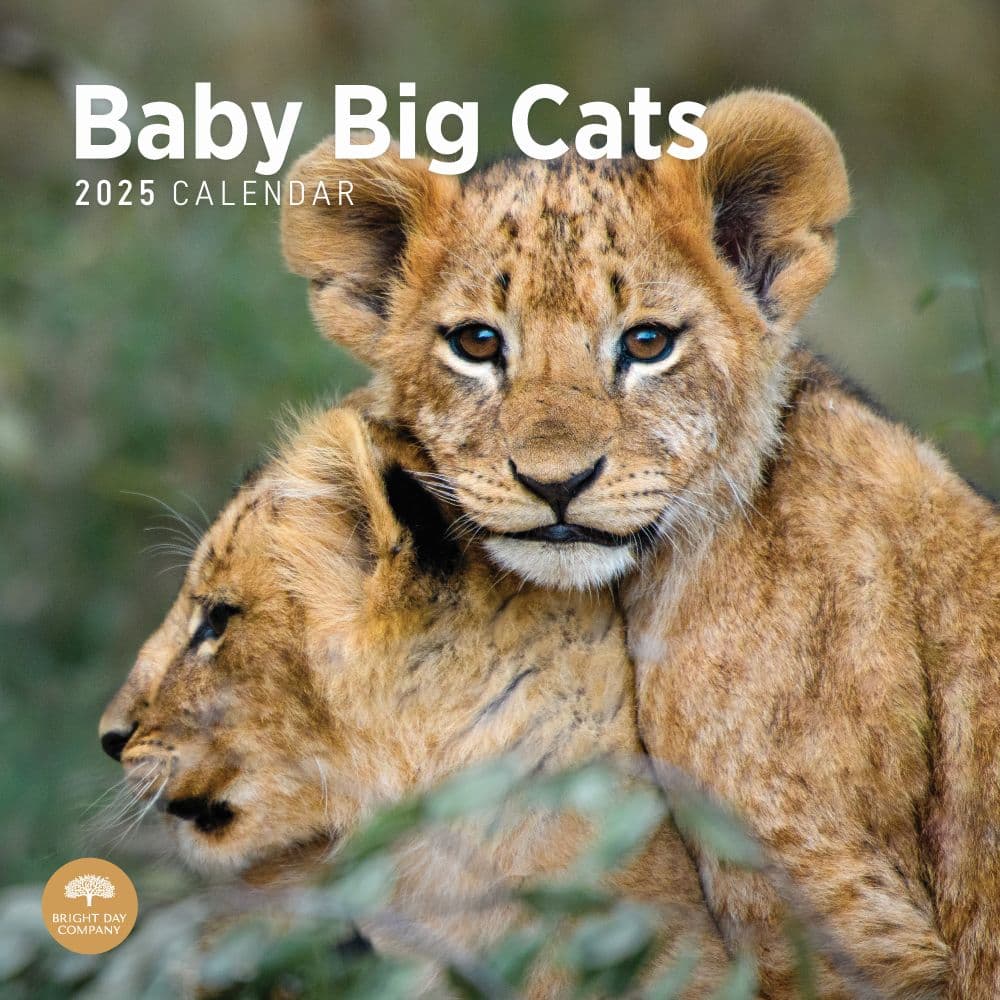 Baby Big Cats 2025 Wall Calendar
