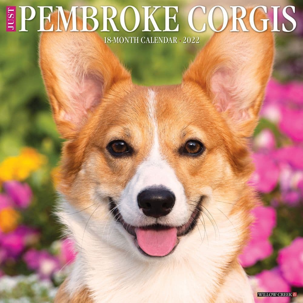 Pembrook Corgis 2022 Wall Calendar